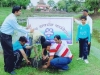 picture2